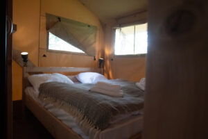 image (7)